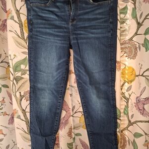American Eagle Outfitters Dark Blue Skinny Jeans